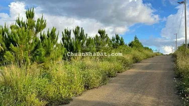 Bán đất Lộc Tân phường 2 Bảo Lộc giá tốt