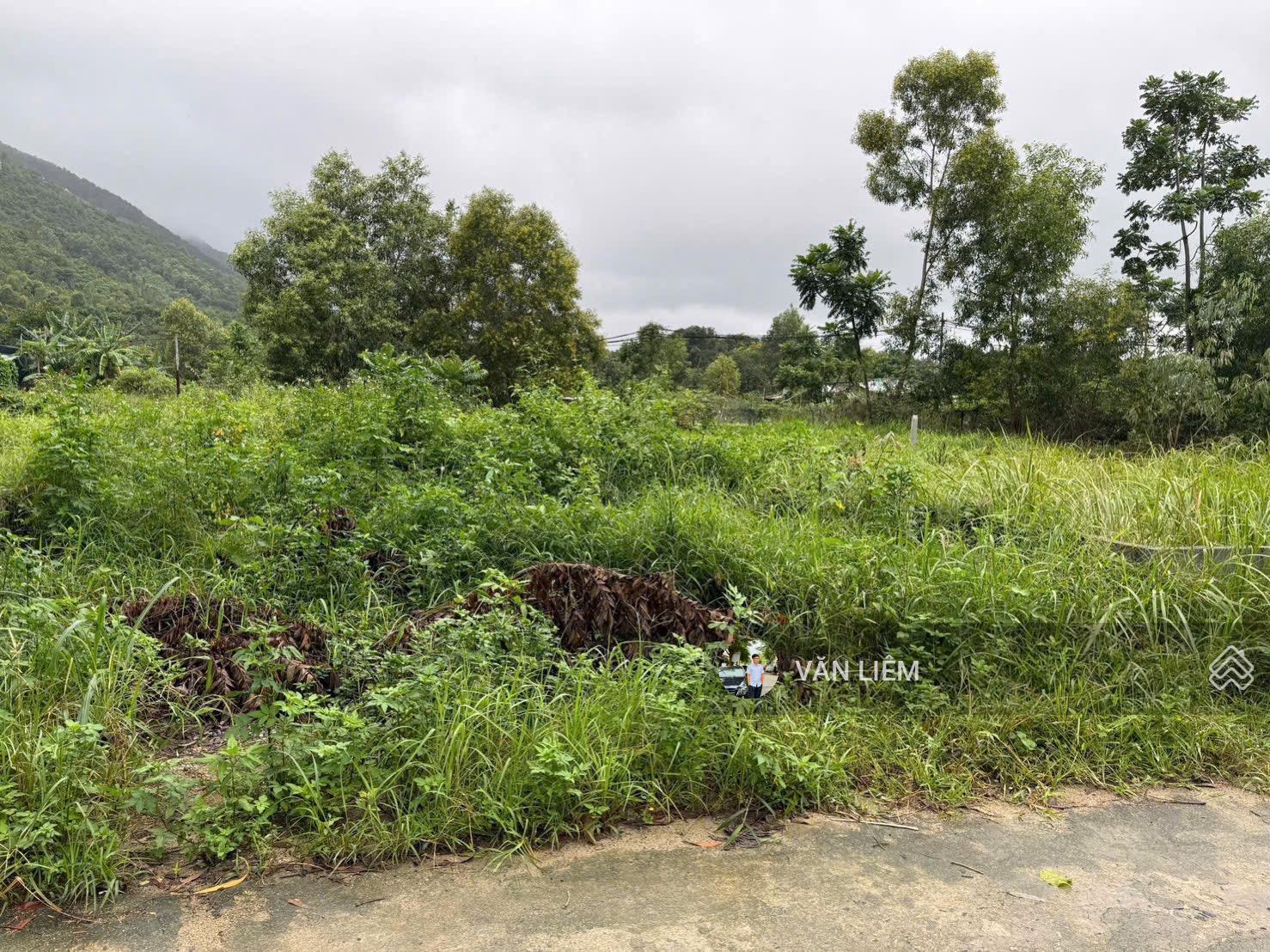 Lô đất Phước Đồng - Diện tích 98m2 ngang 7m. Đường oto thông 6m - Chỉ 1.6 tỷ