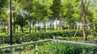 Cho thuê căn 3PN 120m2 view hồ bơi và công viên Centery, tầng đẹp, kèm ô xe định danh. 18tr/tháng