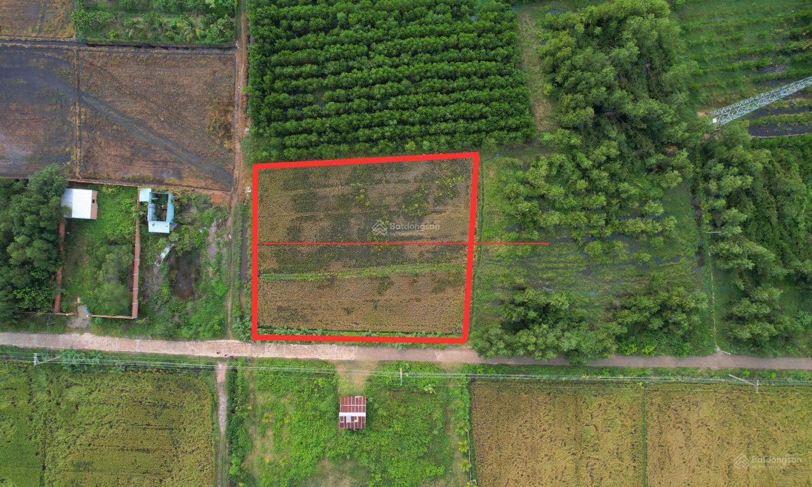 Cần bán 1794m2 đất phủ hồng đất ở, mặt tiền đường đan xe hơi đến 47m, đất mua 10 năm trước