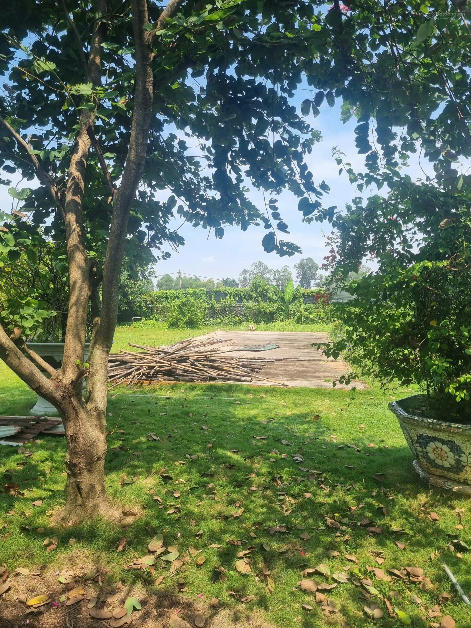 SIÊU PHẨM 4.600m2 MẶT TIỀN RẠCH ÔNG ĐỒ - BÌNH CHÁNH GIÁ 100 TỶ