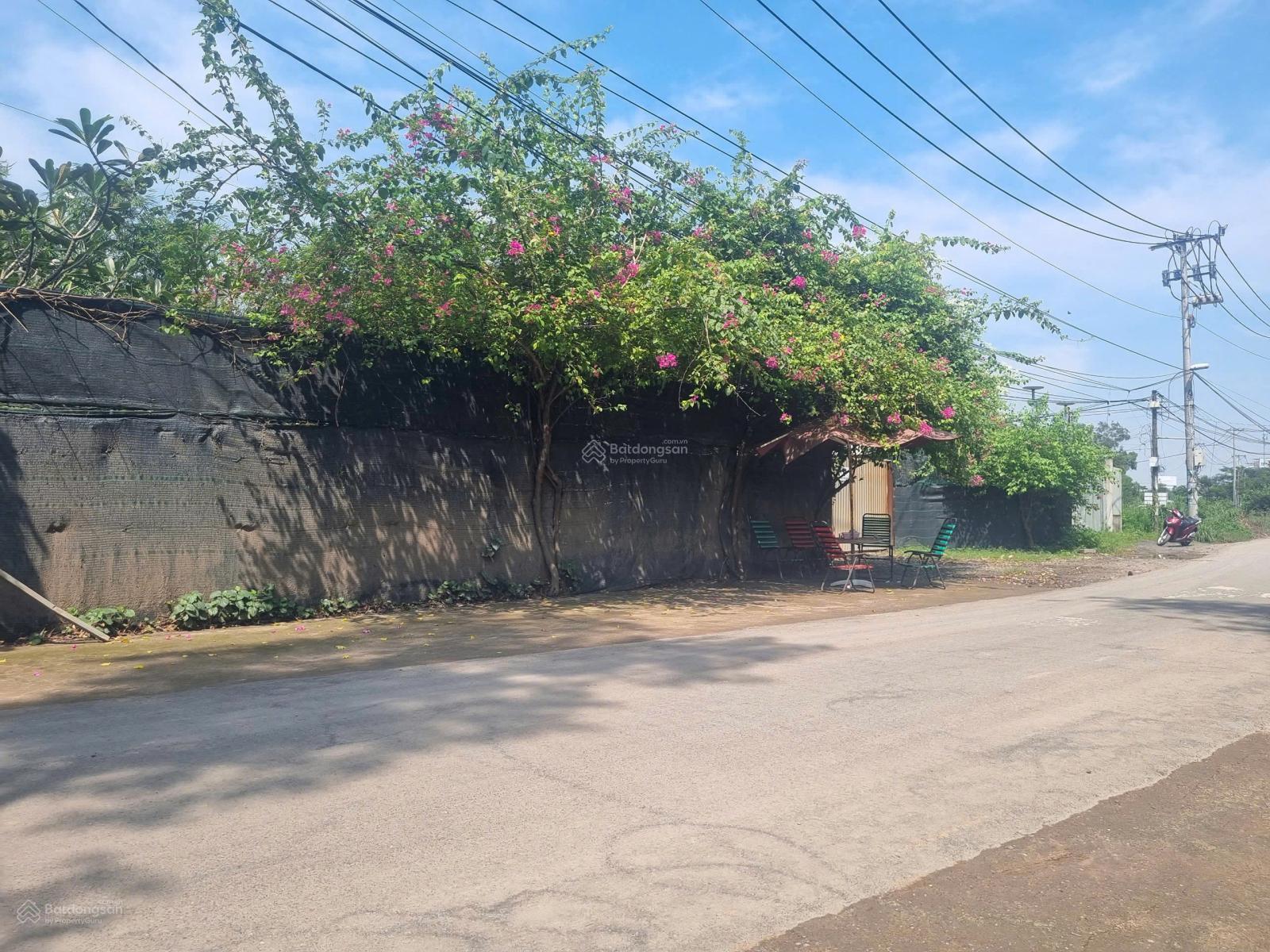 SIÊU PHẨM 4.600m2 MẶT TIỀN RẠCH ÔNG ĐỒ - BÌNH CHÁNH GIÁ 100 TỶ