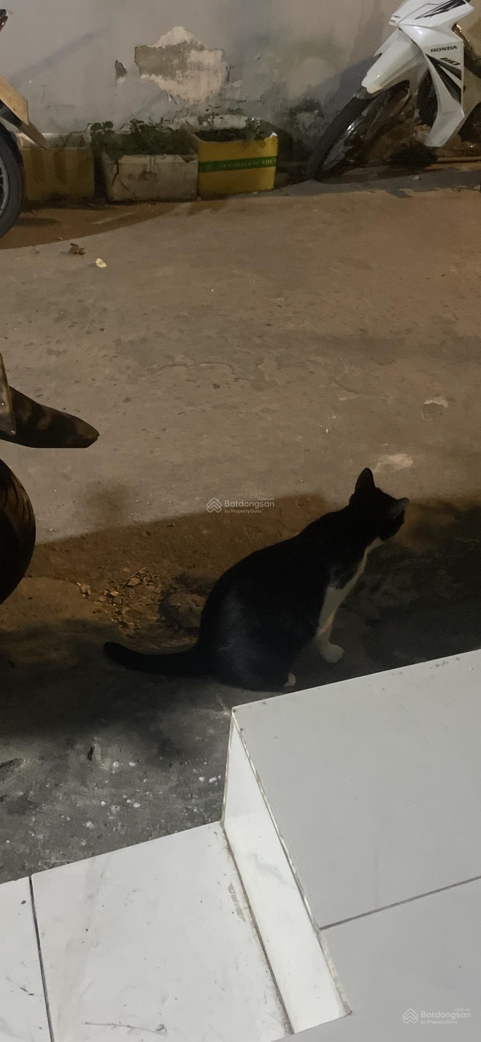 Đất mặt tiền đường số P. Tân Kiểng Đất mặt tiền đường số P. Tân Kiểng