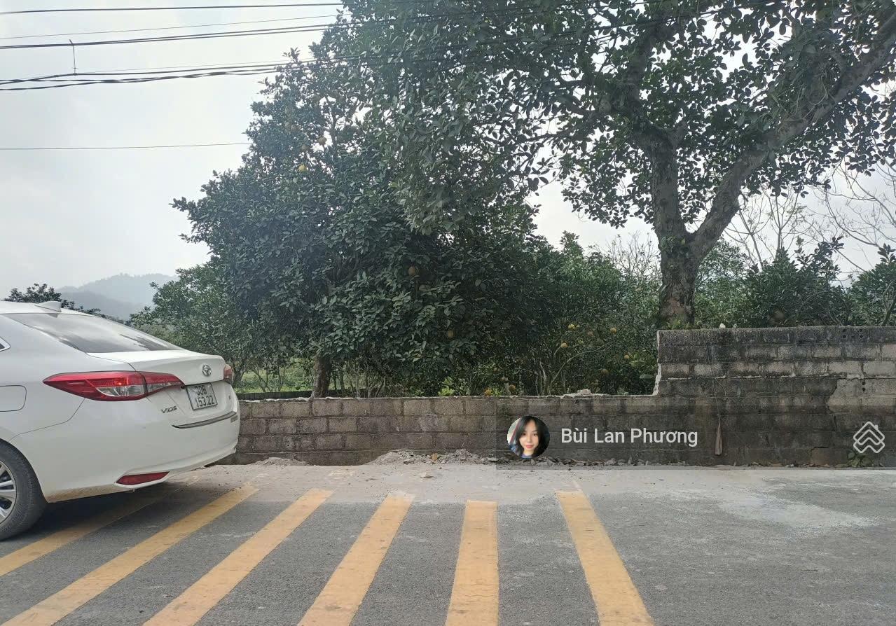 Hàng hiếm nằm ở trục chính Chóng mặt đường rộng 205m2 full thổ cư Hàng hiếm nằm ở trục chính Chóng mặt đường rộng 205m2 full thổ cư