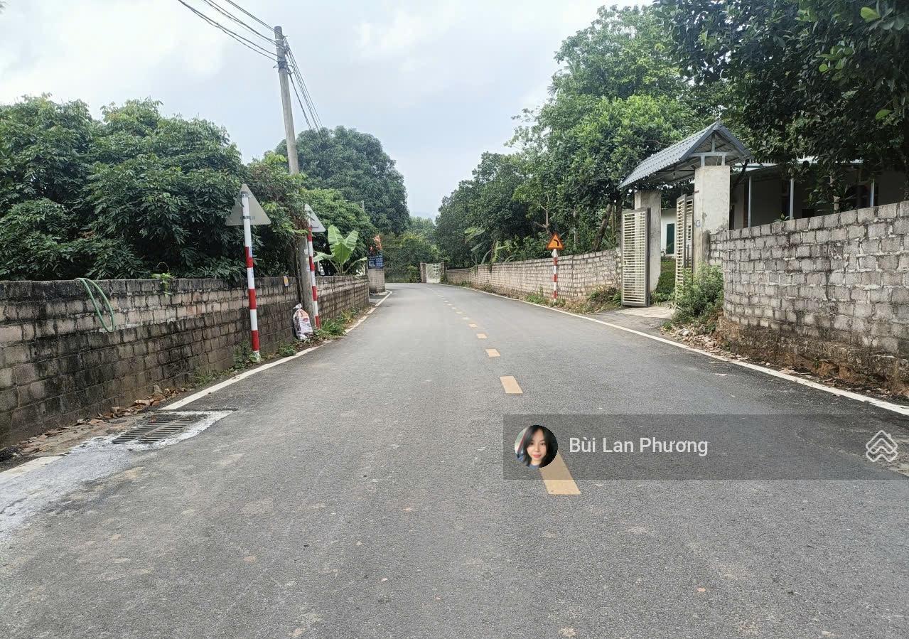 Hàng hiếm nằm ở trục chính Chóng mặt đường rộng 205m2 full thổ cư Hàng hiếm nằm ở trục chính Chóng mặt đường rộng 205m2 full thổ cư