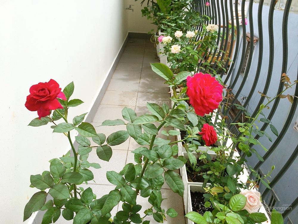 Bán nhà đường Bình Giã P. 13, TB 6m*12m NH 6.3m 1 trệt lửng 2 lầu ST mà chỉ 7.6 tỷ còn TL