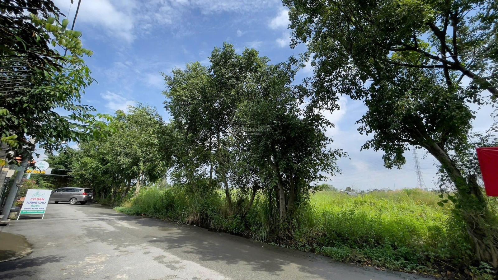 Chính Chủ Cho Thuê Đất Đặng Thúc Vịnh HM. Dt: 2.3ha Giá: 6k/m