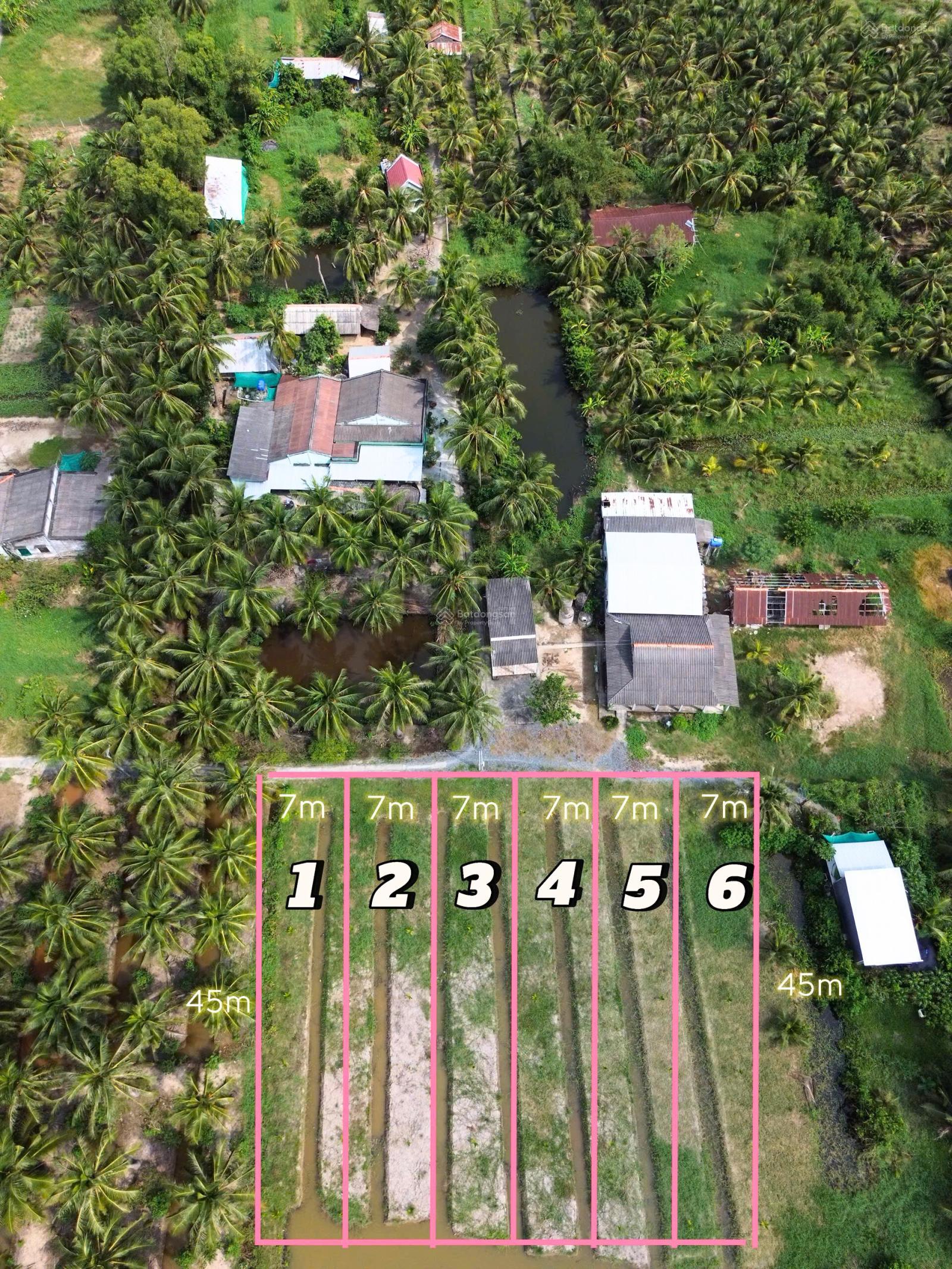 BÁN ĐẤT VƯỜN TÂN PHÚ ĐÔNG TIỀN GIANG - GIÁ 199 TRIỆU 315M (GIÁ TỐT NHẤT KHU VỰC)