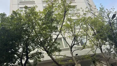 Bán gấp Khách sạn VIP Ba Đình, Gần Hồ Trúc Bạch, view Hồ Tây, Mặt Phố Đặng Dung 250m2 cho thuê 8 tỷ