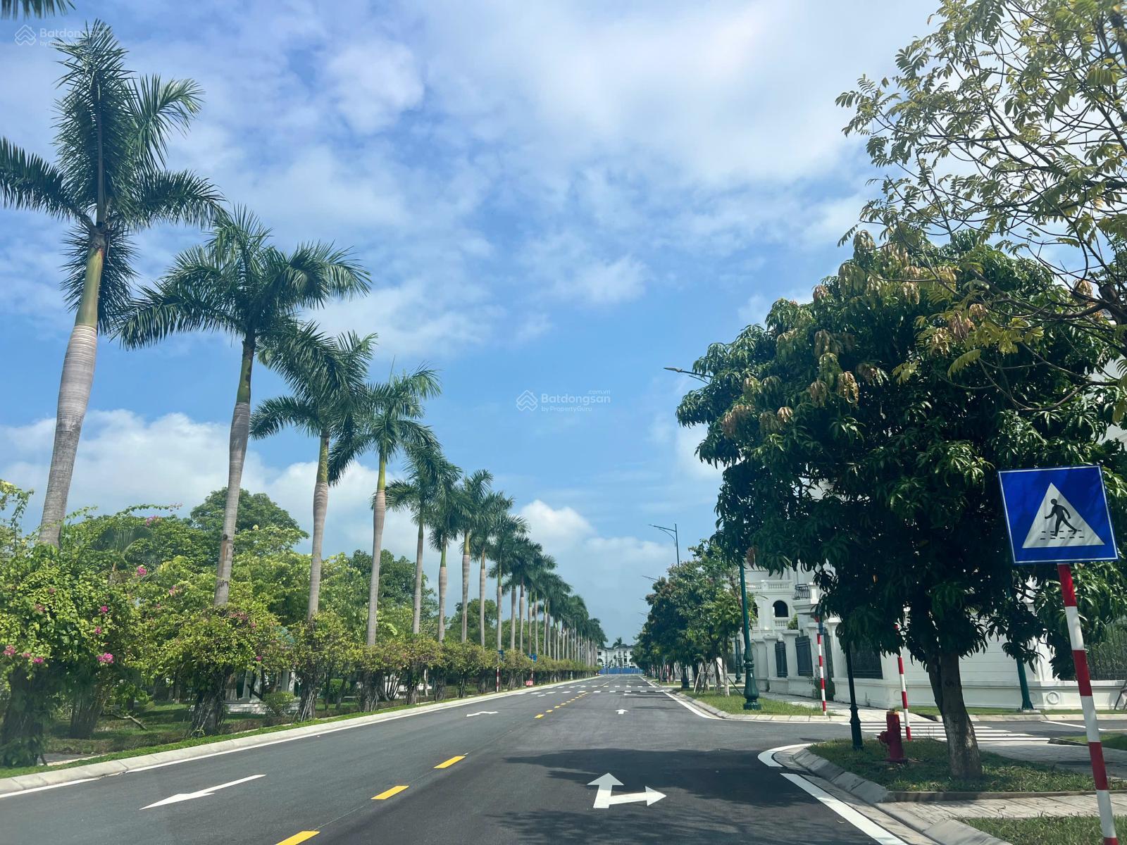 Bán nhà biệt thự Vườn Cam, 45 tỷ, 350 m2, Hoài Đức, Hà Nội