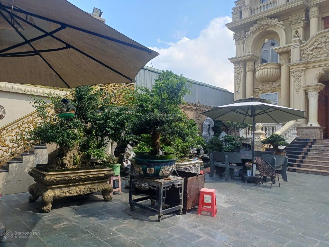 SIEU phẩm biệt thự cung điện 4 tầng DT 745M ( 17 x 44 ) mặt tiền đường chiêu Liêu dĩ An HCM