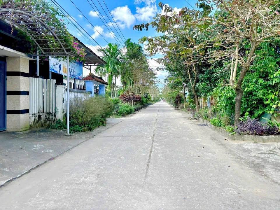 Trục chính đắt giá nhất chợ Đại Hiệp - Mặt tiền 7m5 - Sát Quốc lộ - Thanh khoản cao