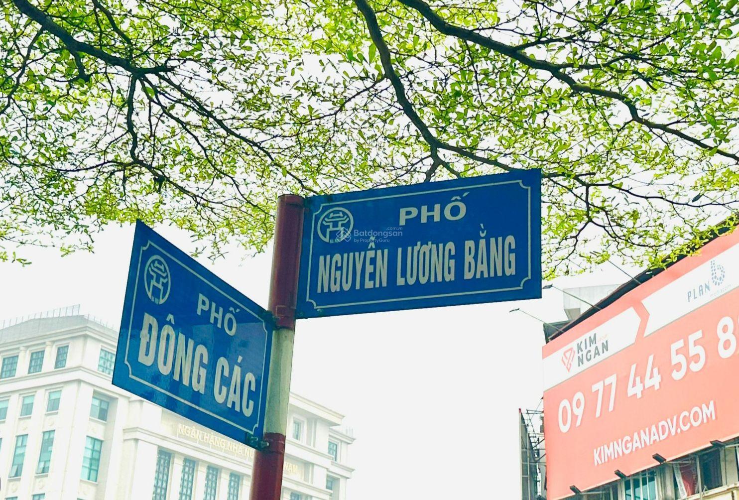 SIÊU PHẨM DÒNG TIỀN NGUYỄN LƯƠNG BẰNG ĐỐNG ĐA