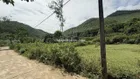 HIẾM, MẢNH ĐẤT VÀNG, GIÁ ĐẦU TƯ, TRANG TRẠI, CLN RỪNG, THỔ CƯ ĐẤT RUỘNG HƠN 5HA GIÁ 21 TỶ
