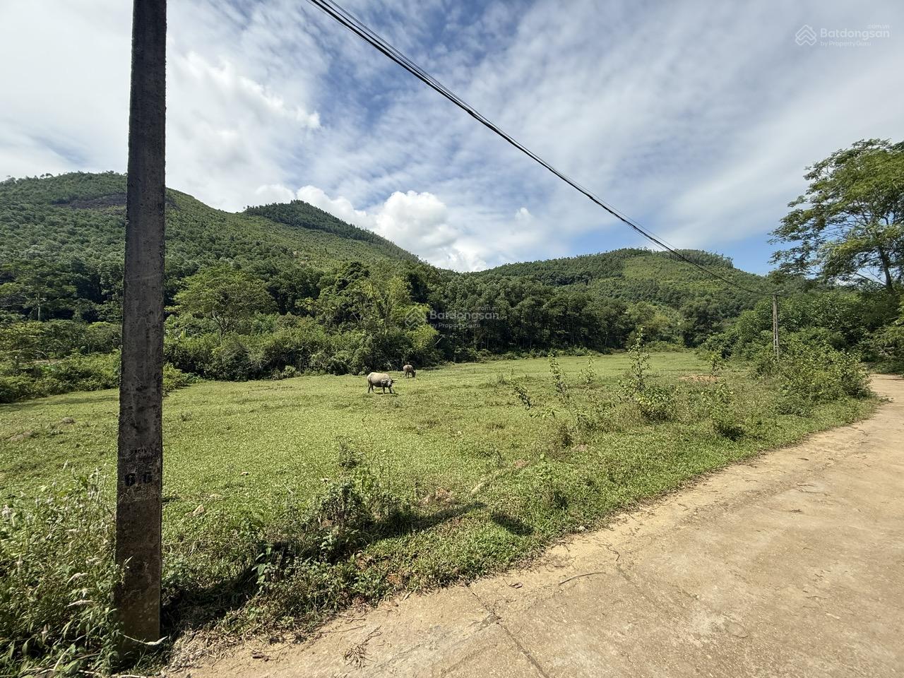 HIẾM, MẢNH ĐẤT VÀNG, GIÁ ĐẦU TƯ, TRANG TRẠI, CLN RỪNG, THỔ CƯ ĐẤT RUỘNG HƠN 5HA GIÁ 21 TỶ