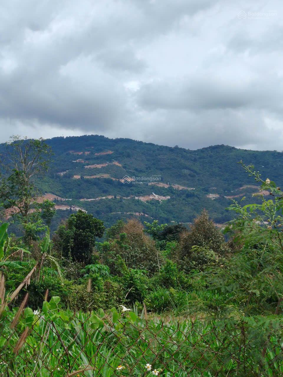 khu nghỉ dưỡng view núi tại Suối Cát, Xuân Lộc,DT: 7541 m2 ,Gía 600tr/1 sào