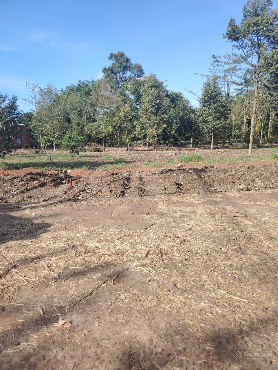 #Đất Long Khánh DT: 125m2 tại phường Bình Lộc, giá 690 triệu, sát nhựa #Đất Long Khánh DT: 125m2 tại phường Bình Lộc, giá 690 triệu, sát nhựa