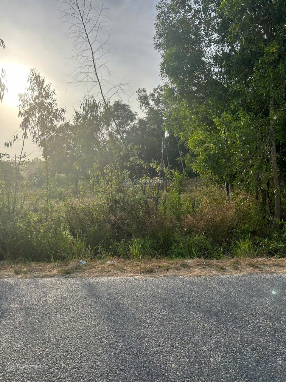 15x60(614m2) Cù Chính Lan Tân Bình LaGi Đường Nhựa Sát Trung Tâm Giá Rẻ