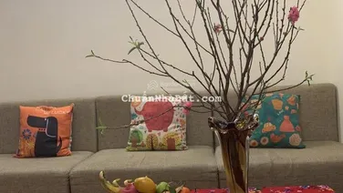 Cho thuê CC đẹp, 120m2, 3PN, 2WC, 14 triệu VND tại 229 Phố Vọng, Hai Bà Trưng, Hà Nội