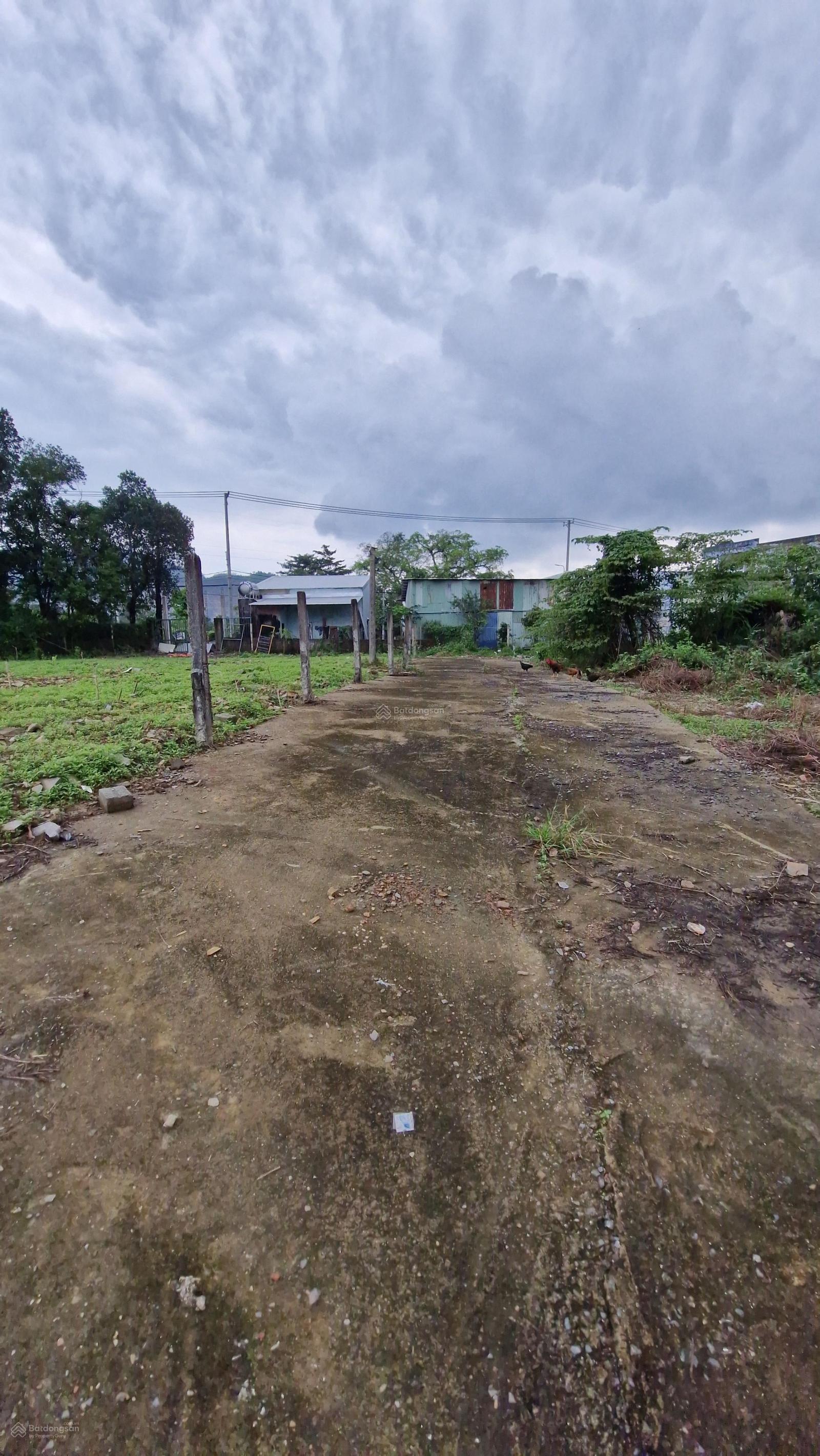 2 Lô Liền Kề Gần Trường Tiểu Học Số 1 Hòa Sơn.Hòa Vang-Đà Nẵng..Diện tích 125m/ 1 Lô..