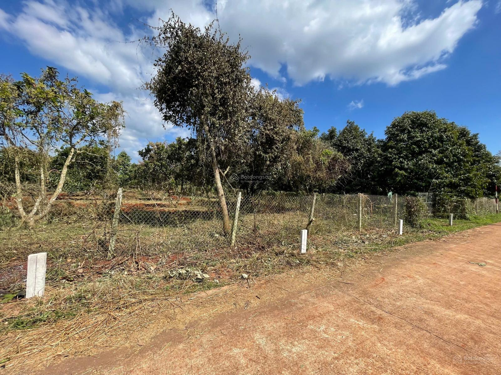 BÁN MẢNH ĐẤT THỔ CƯ -SÔ HỔNG RIÊNG - GIÁ 360 TRIỆU. LH 0919 093 ***