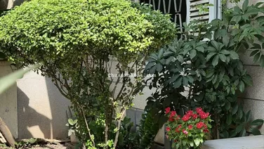 BÀ NGOẠI BÁN NHÀ CHIA TÀI SẢN CHO CON CHÁU LÀM ĂN 165m2 TRUNG TÂM BÌNH THẠNH CHỈ 23 tỷ