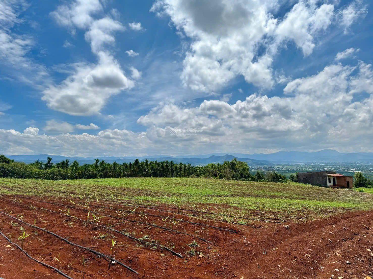 ĐẤT ĐẸP ĐINH VĂN LÂM HÀ CHỈ 350 TRIỆU ĐẾN 470 TRIỆU