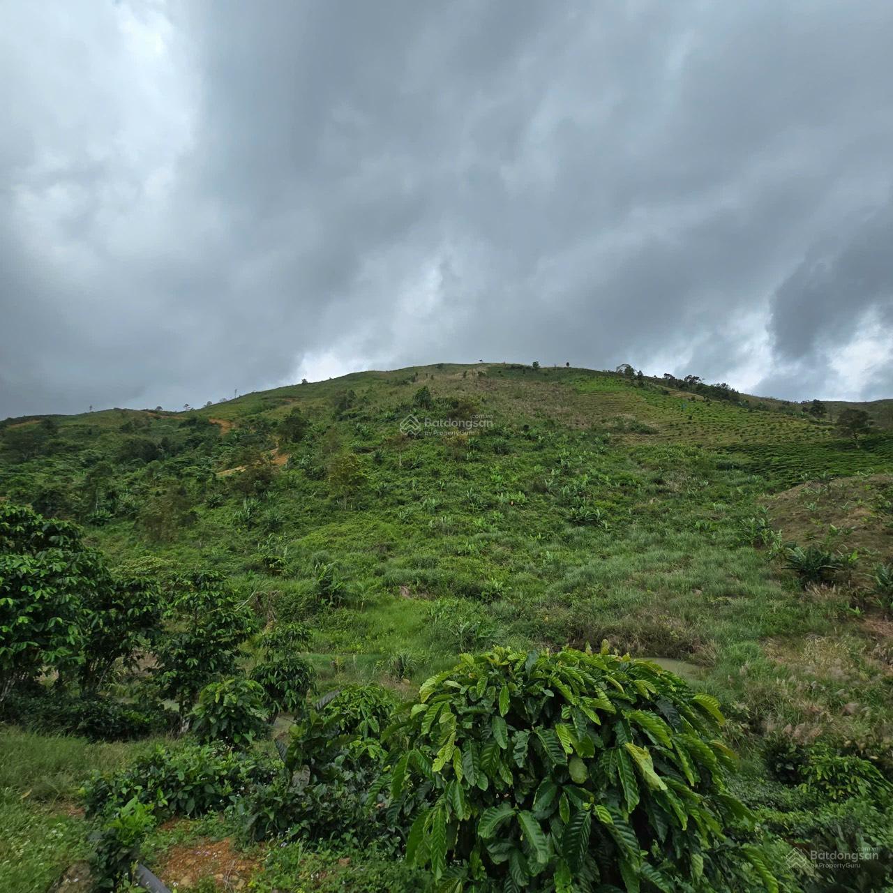 150 TRIỆU/ SÀO - LỘC THÀNH - CÓ SỔ ĐẦY ĐỦ ~ 200M MẶT TIỀN SUỐI, SỔ HIỂN THỊ ĐƯỜNG 150 TRIỆU/ SÀO - LỘC THÀNH - CÓ SỔ ĐẦY ĐỦ ~ 200M MẶT TIỀN SUỐI, SỔ HIỂN THỊ ĐƯỜNG