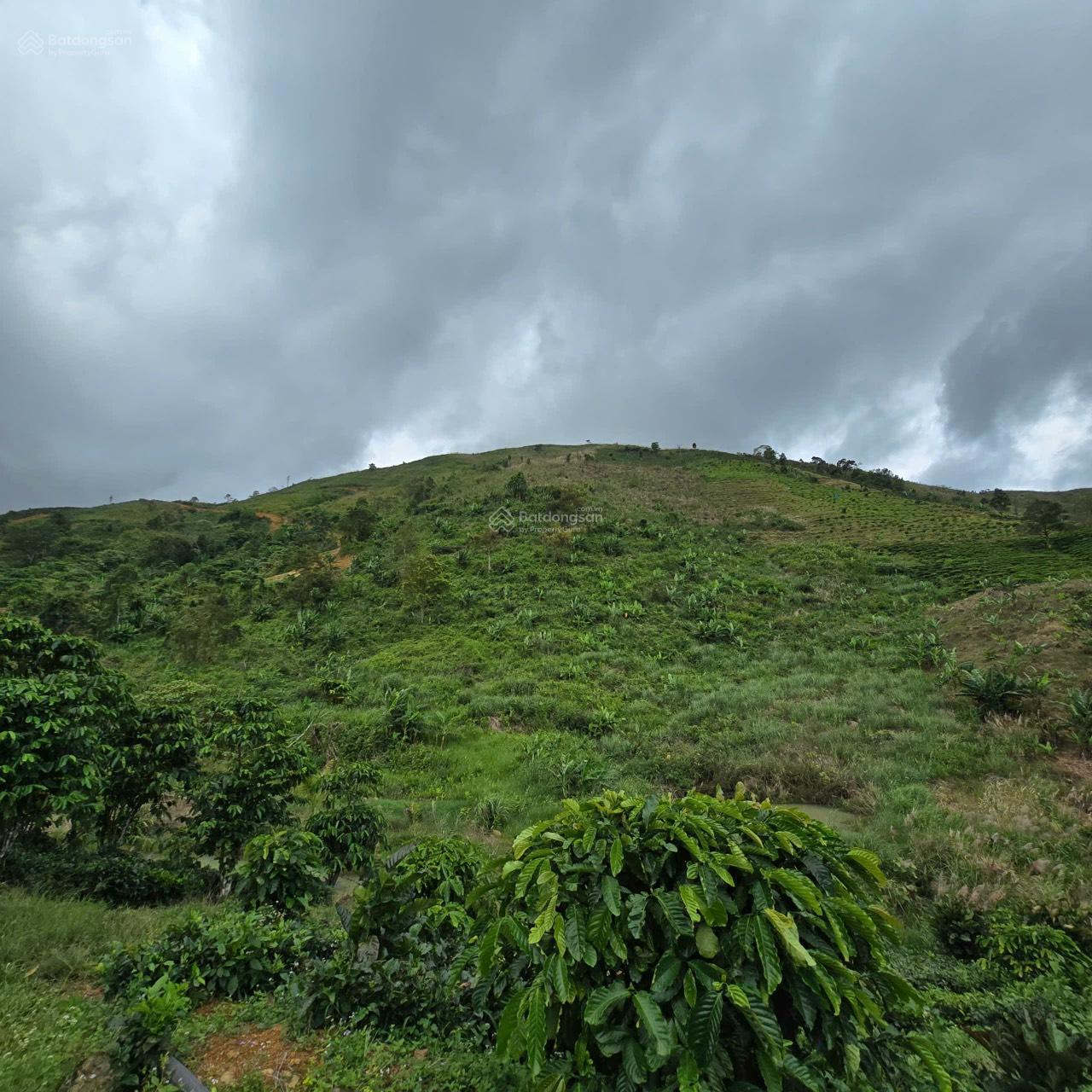 150 TRIỆU/ SÀO - LỘC THÀNH - CÓ SỔ ĐẦY ĐỦ ~ 200M MẶT TIỀN SUỐI, SỔ HIỂN THỊ ĐƯỜNG 150 TRIỆU/ SÀO - LỘC THÀNH - CÓ SỔ ĐẦY ĐỦ ~ 200M MẶT TIỀN SUỐI, SỔ HIỂN THỊ ĐƯỜNG