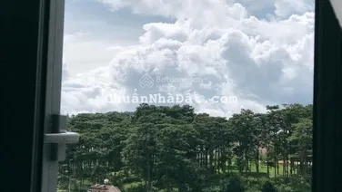 Bán nhà phường 4 đà lạt thích hợp để kinh doanh khách sạn . Homestay và ở đường xe hơi đậu trước nh