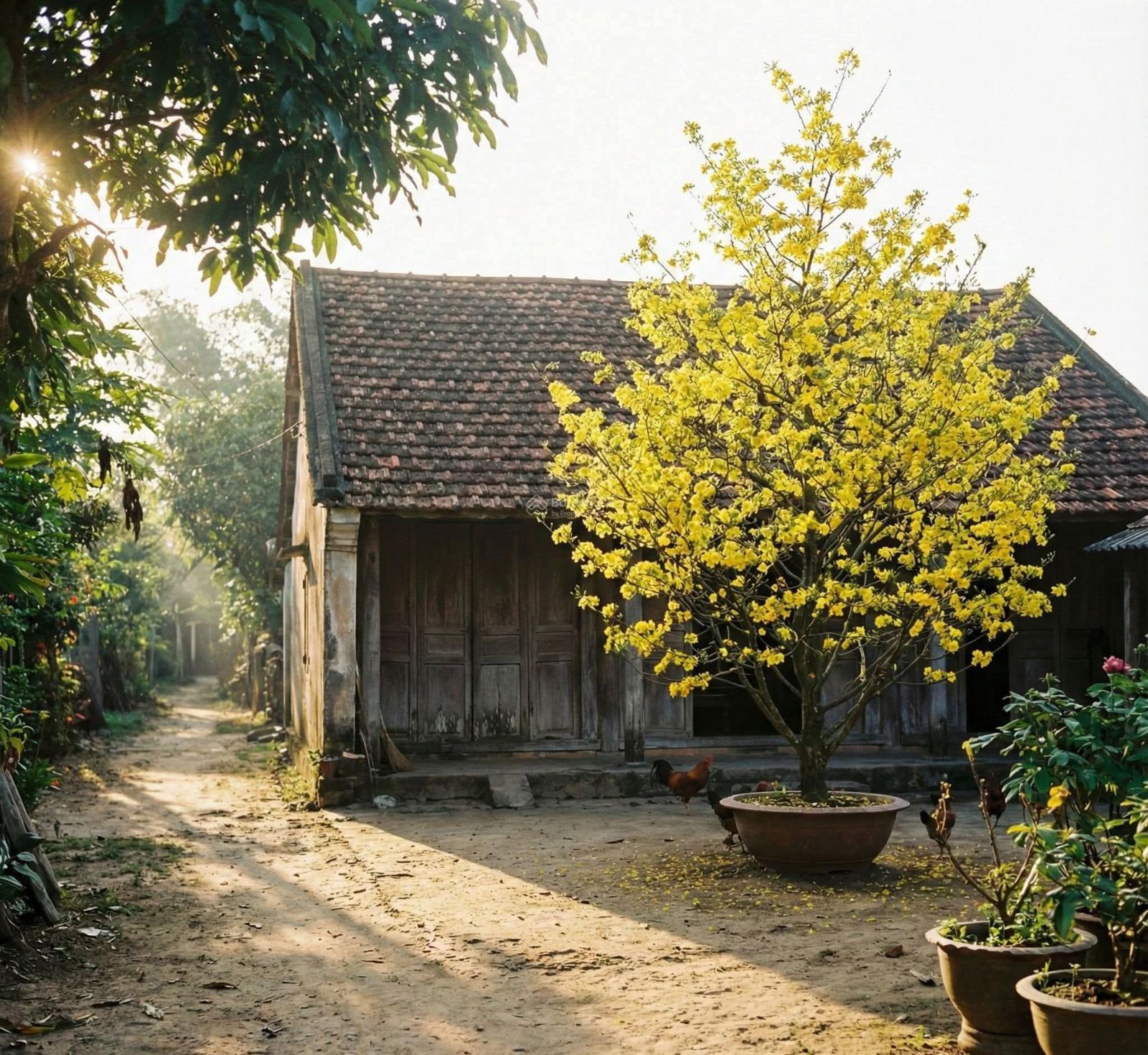 Bán đất 5.5x16m, hẻm ô tô, Chỉ 5 tỷ, Nguyễn Văn Quá , quận 12