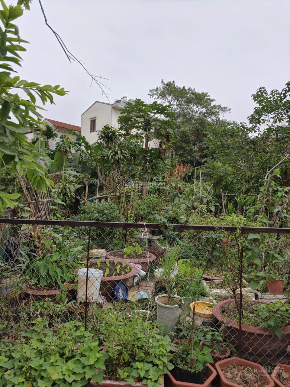 Cực hiếm, chủ cần tiền bán gấp mảnh đất đẹp sát hồ Quảng Bá, 50m mt9 giá chỉ 11,5 tỷ.