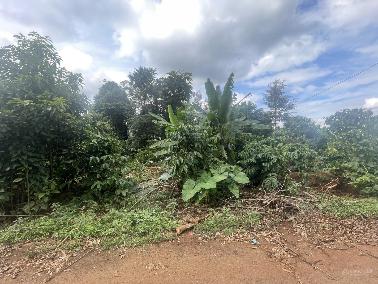 HOT lô 20x30 giá giảm mạnh còn 175tr/m // gần sân bay, gần hồ ea cuor kap.