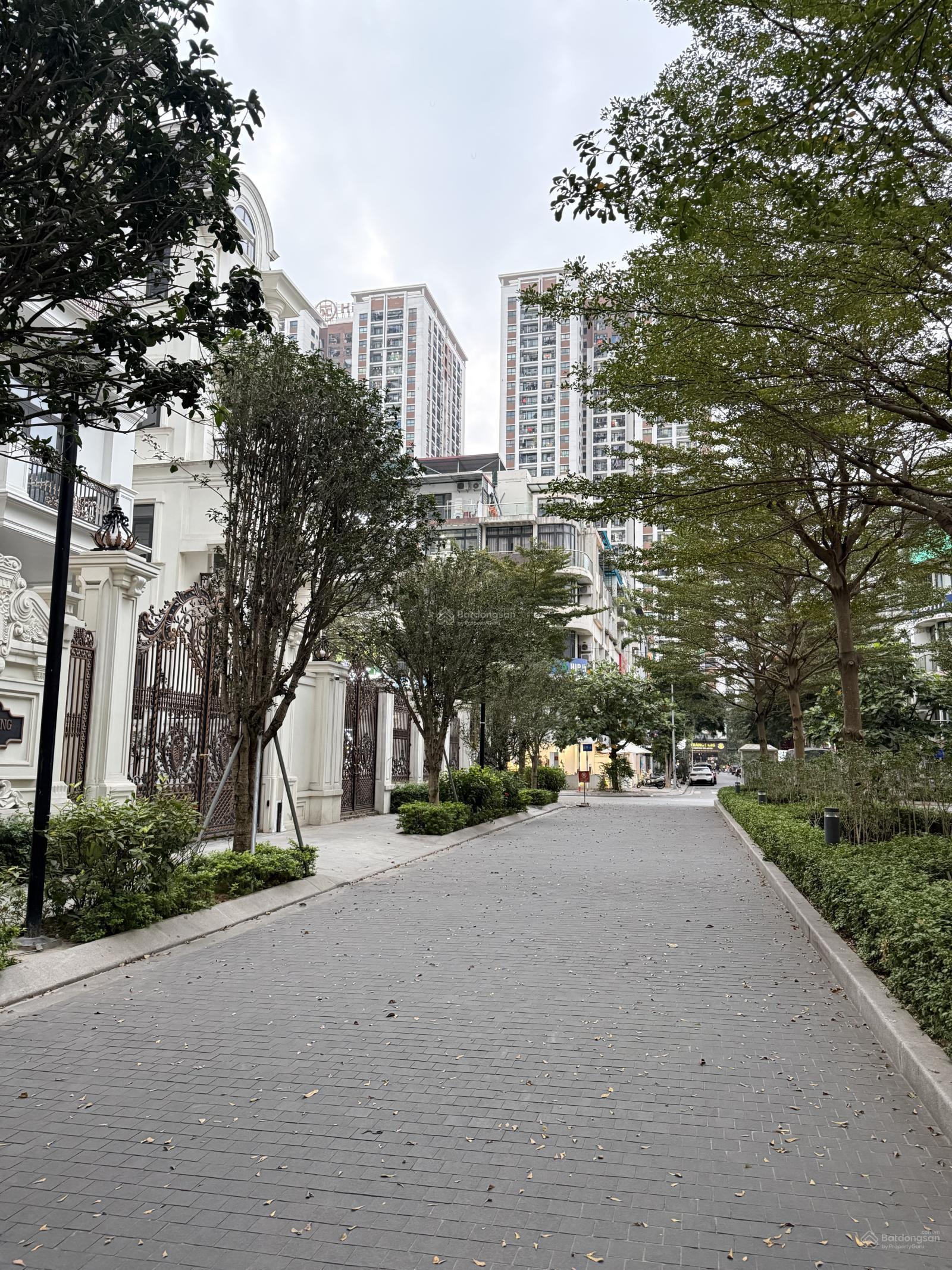 Biệt phủ The Zei - Đường đôi nội khu - 266m2 5 tầng 1 hầm, Ở Yên Tĩnh - Sổ đỏ đẹp, Giá thương lượng