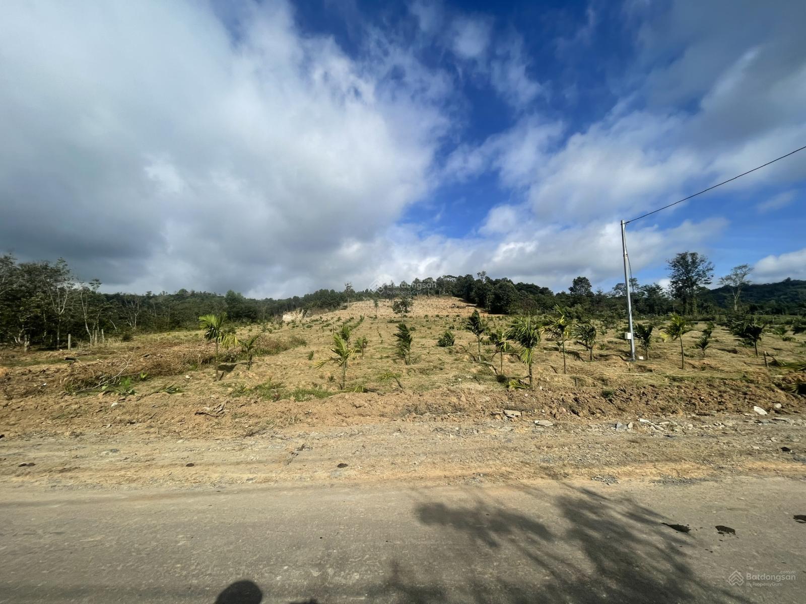 Hàng hiếm tại Xã Ea Ktur, Cư Kuin, Đắk Lắk, giá 7,2 tỷ, diện tích 1ha8.