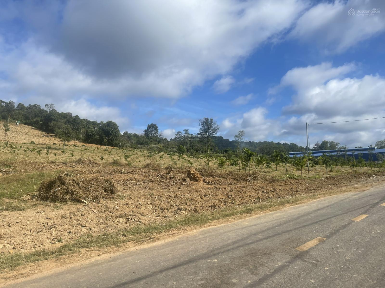 Hàng hiếm tại Xã Ea Ktur, Cư Kuin, Đắk Lắk, giá 7,2 tỷ, diện tích 1ha8.