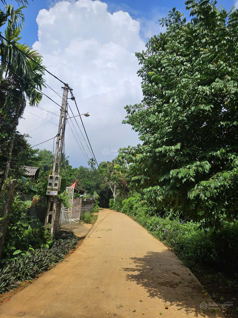 Mảnh đất nghỉ dưỡng giá rẻ tại Minh Quang-view núi-đường thông tứ phía-cách trường-chợ-UB xã 250m