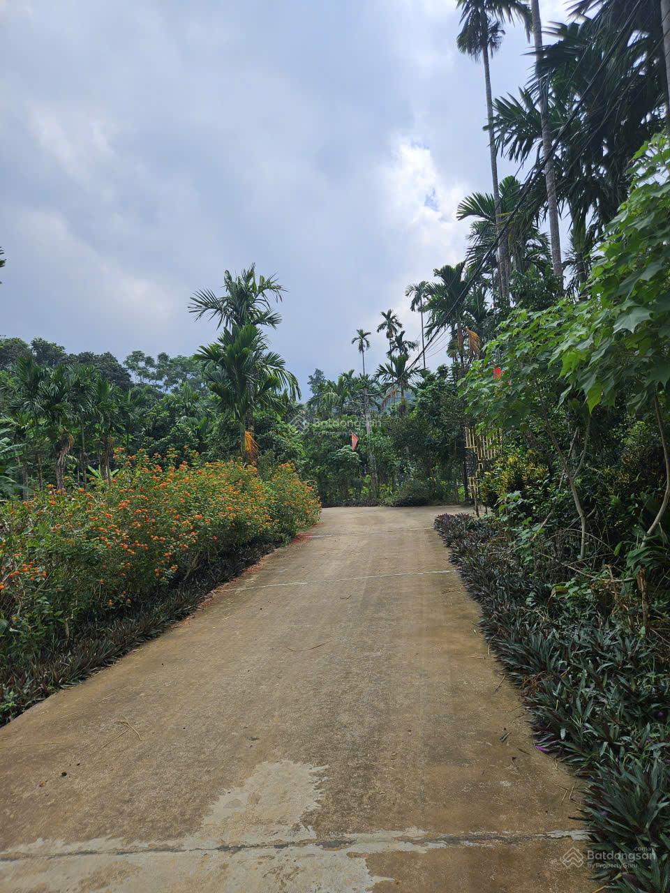 Mảnh đất nghỉ dưỡng giá rẻ tại Minh Quang-view núi-đường thông tứ phía-cách trường-chợ-UB xã 250m