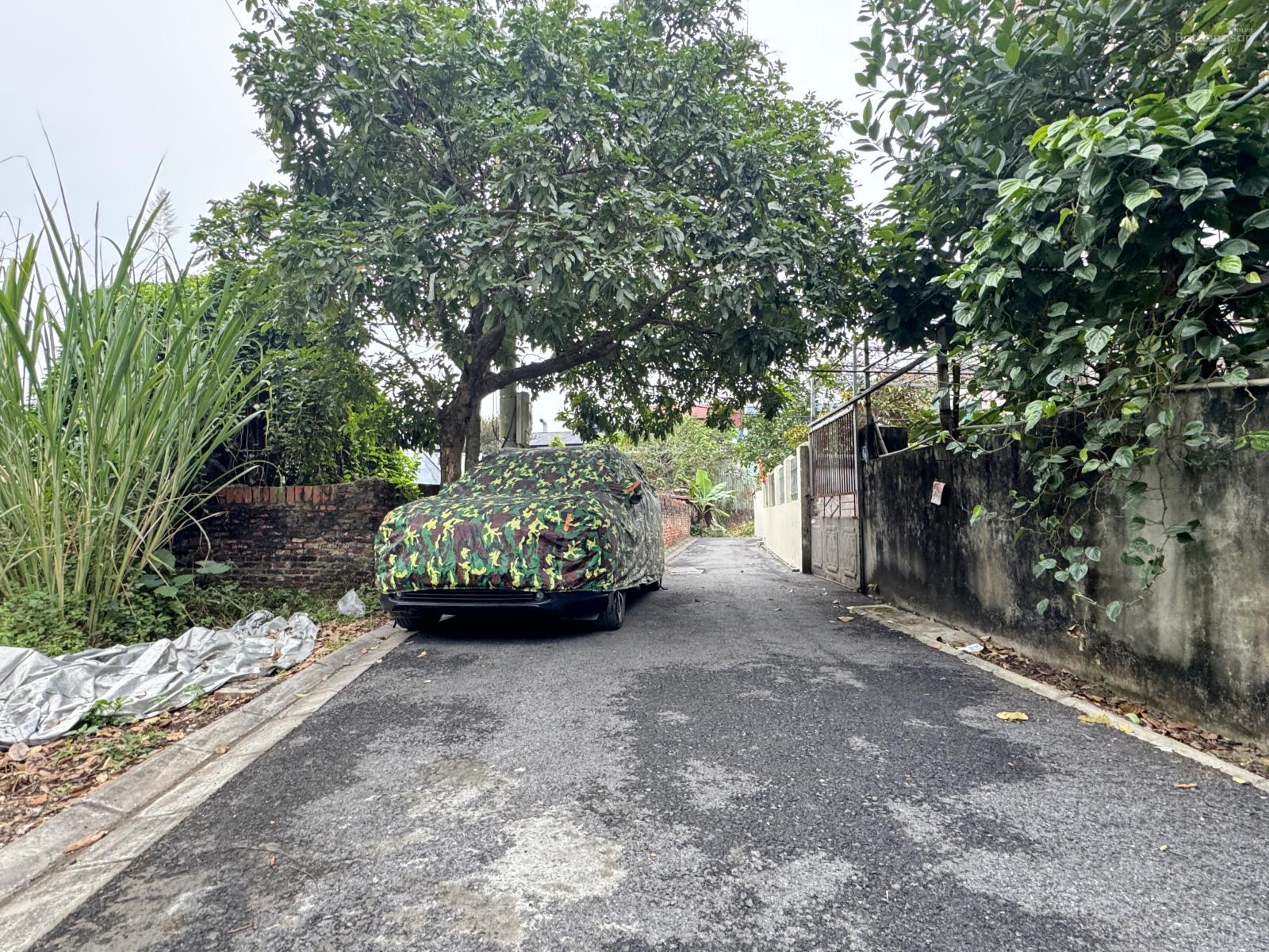 Chính chủ cần bán gấp 100m2 đất ngõ ô tô con đỗ cửa tại trung tâm thôn Ngọc Động, Đa Tốn