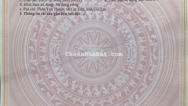 Bán đất khu TĐC TÂN THANH, ven biển xã Cát Tiến. Diện tích 200m2. Giá bán 1,25 tỉ. Rẻ nhất đẹp nhất