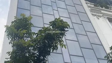 Bán gấp toà văn phòng 11T mặt Vincom Bà Triệu, MP Bà Triệu 298m2 12m MT cho thuê 520tr/th giá 205tỷ