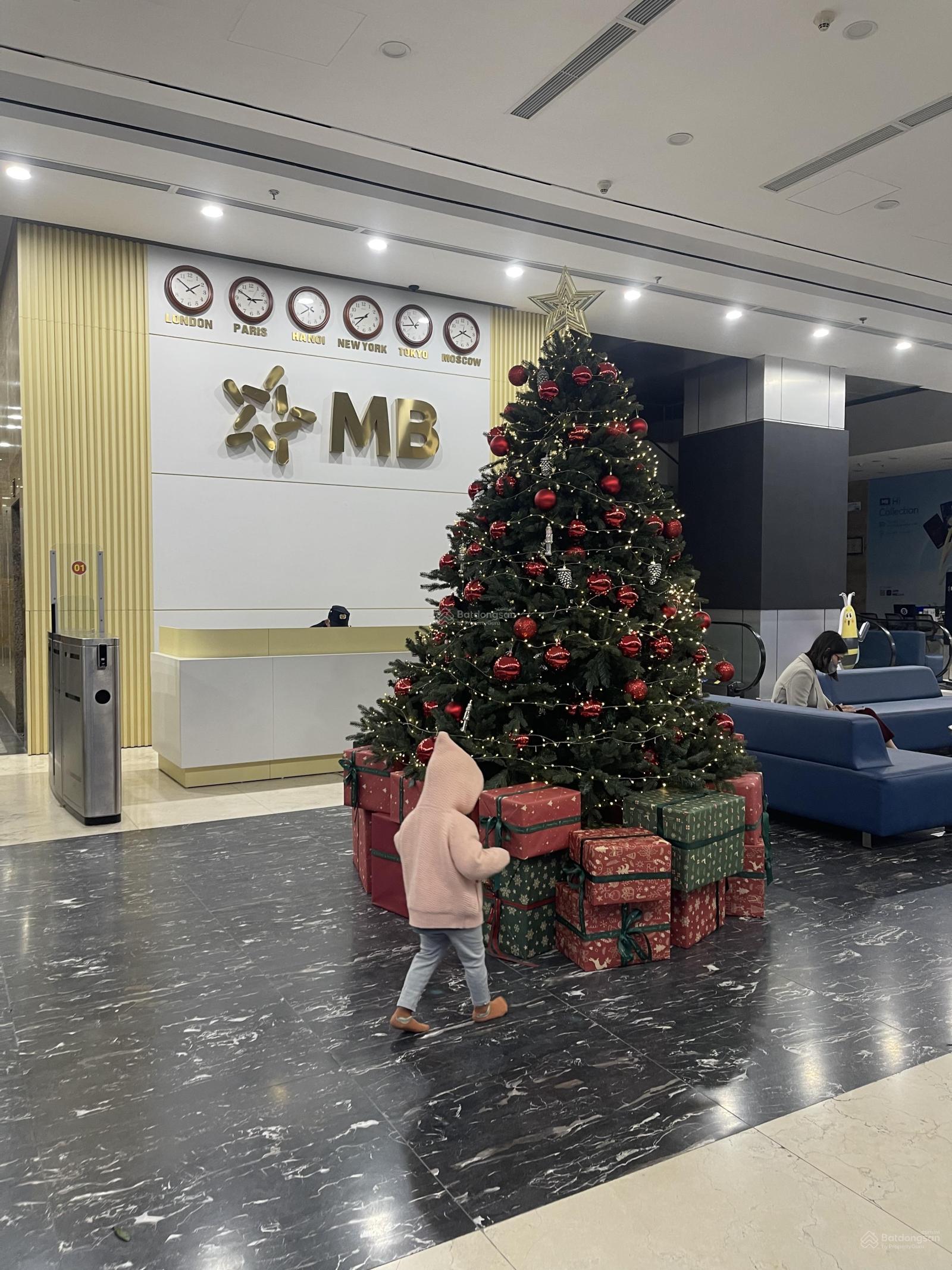 Bán gấp toà văn phòng 11T mặt Vincom Bà Triệu, MP Bà Triệu 298m2 12m MT cho thuê 520tr/th giá 205tỷ