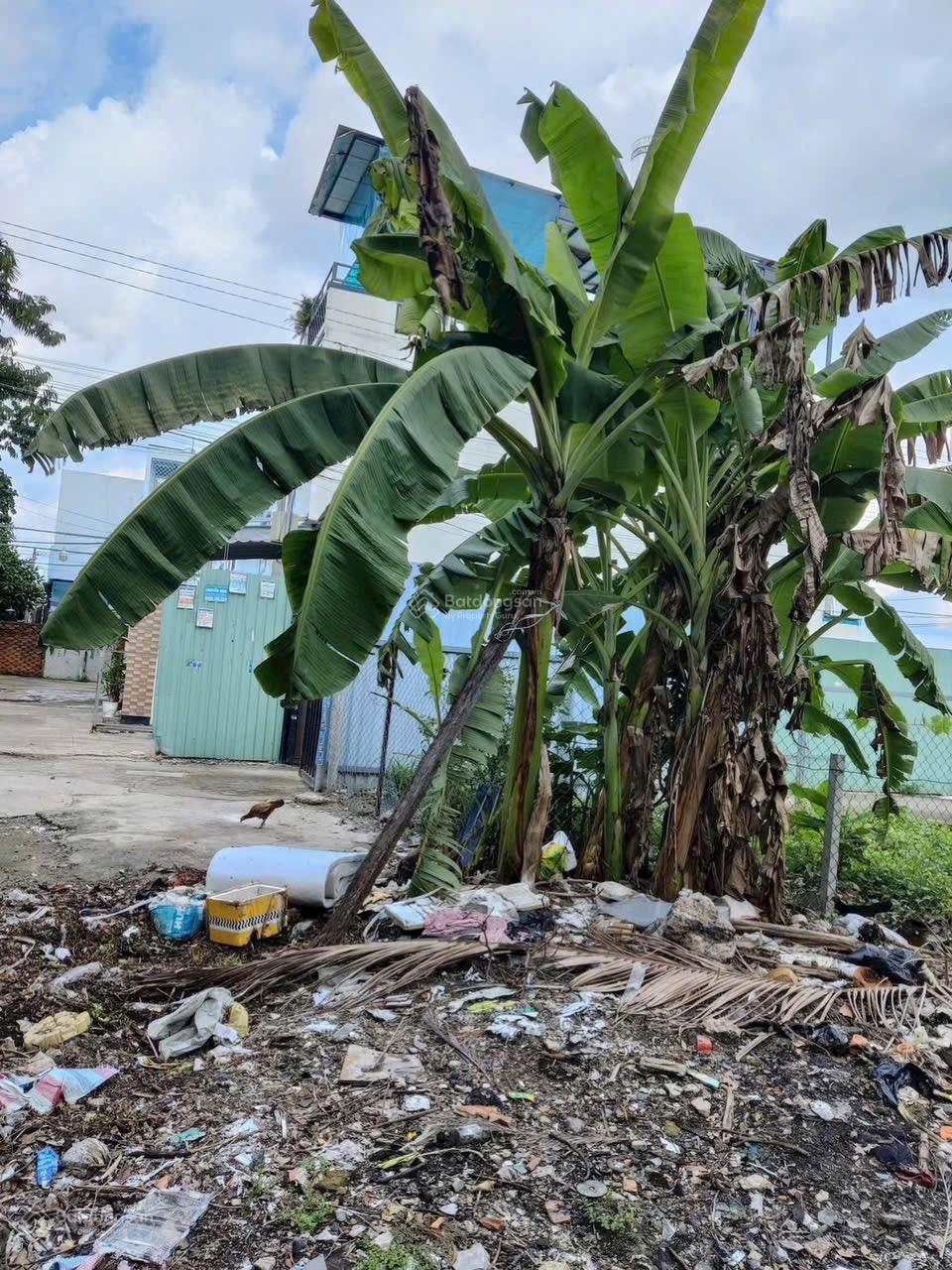 Lô đất sổ Hồng riêng tx51 Dt 4x14,5m Giá 2,85 tỷ Tl