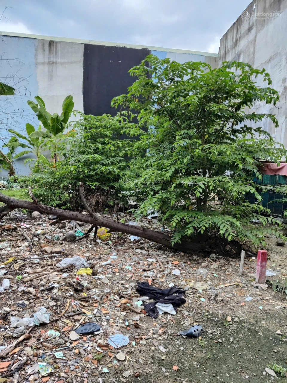 Lô đất sổ Hồng riêng tx51 Dt 4x14,5m Giá 2,85 tỷ Tl