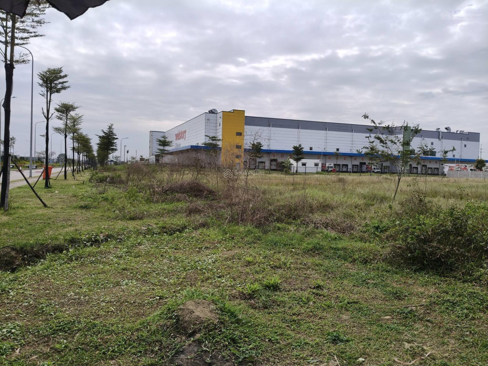 Đất TMDV 6869m2, mt50m, 103 tỷ, lô góc, KCN Yên Phong, Bắc Ninh.