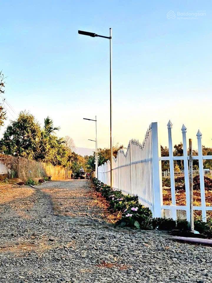 Bán đất dt 179m2 sẵn thổ cư ngay trung tâm huyện Cưkuin cách quốc lộ 27 hơn 1km sầm uất chỉ 2xxtr Bán đất dt 179m2 sẵn thổ cư ngay trung tâm huyện Cưkuin cách quốc lộ 27 hơn 1km sầm uất chỉ 2xxtr