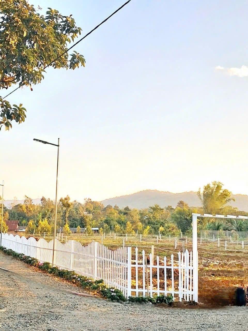 Bán đất dt 179m2 sẵn thổ cư ngay trung tâm huyện Cưkuin cách quốc lộ 27 hơn 1km sầm uất chỉ 2xxtr Bán đất dt 179m2 sẵn thổ cư ngay trung tâm huyện Cưkuin cách quốc lộ 27 hơn 1km sầm uất chỉ 2xxtr