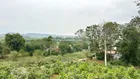 Cần bán 1069,8m2, Mt 48m, 250m2 thổ cư view cao, thoáng tại thôn Nội Minh Quang - Ba vì -Tp Hà Nội