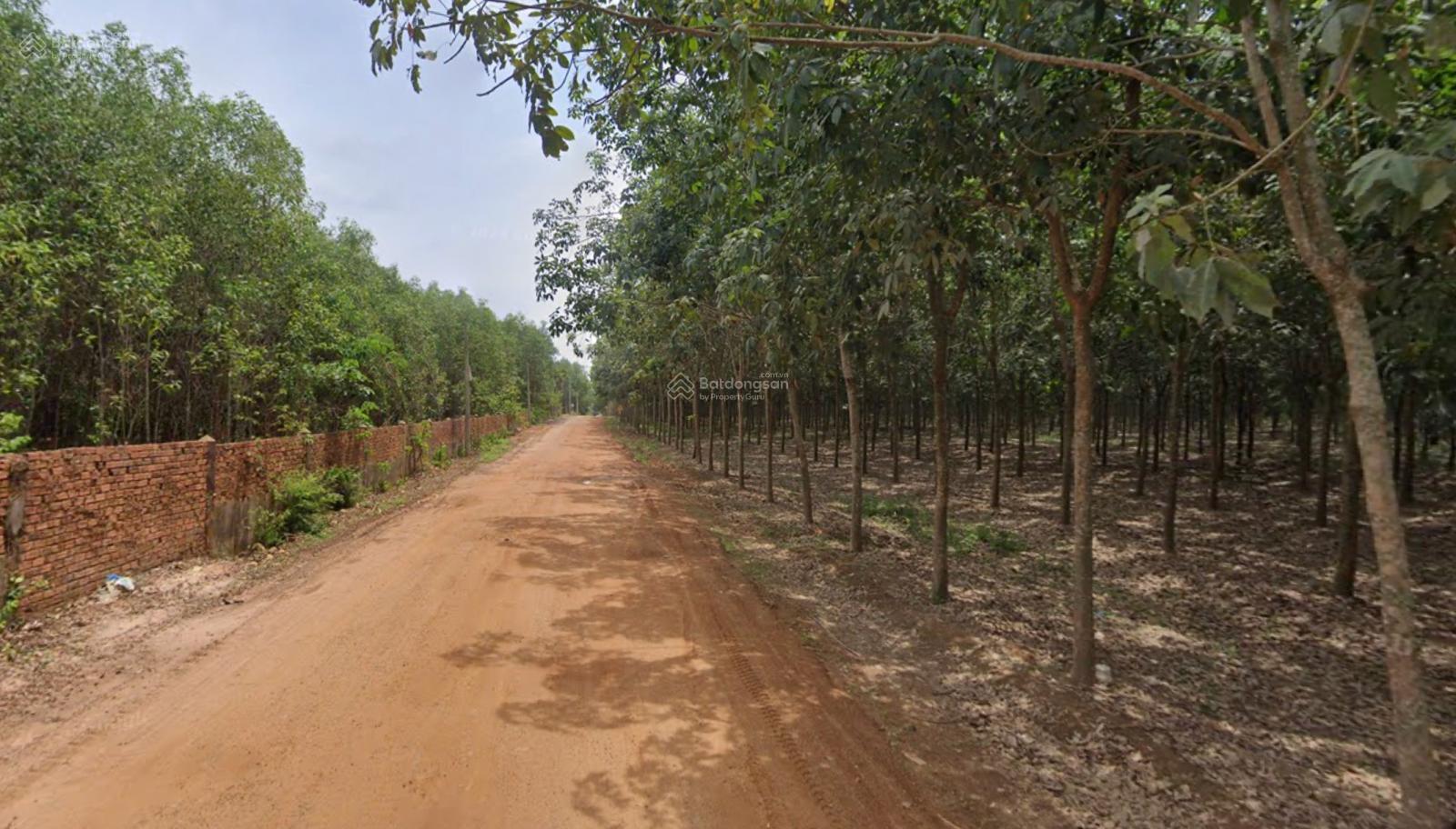 Đất lớn Long Thành siêu hiếm: 44518m2, 2 mặt tiền trước sau, 100% đất ở, sẵn thổ cư sát Lộc An