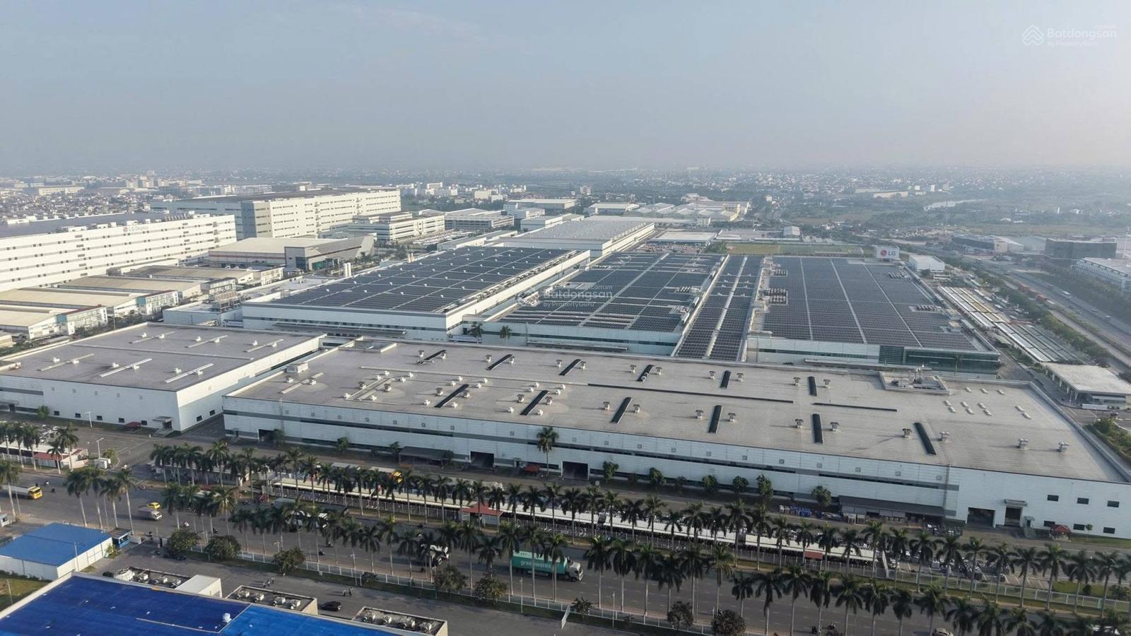 Lô đất đẹp Trường Thọ Chia được 2 lô, đầu tư cực kỳ hợp lý! Diện tích: 181 m ngang 10m Lô đất đẹp Trường Thọ Chia được 2 lô, đầu tư cực kỳ hợp lý! Diện tích: 181 m ngang 10m